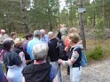 2014-06-05 11-33-50 Foret de Fontainebleau FGn